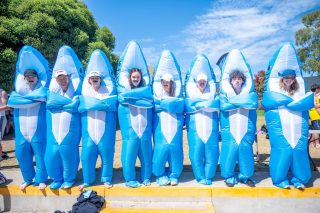 House Swimming Carnival